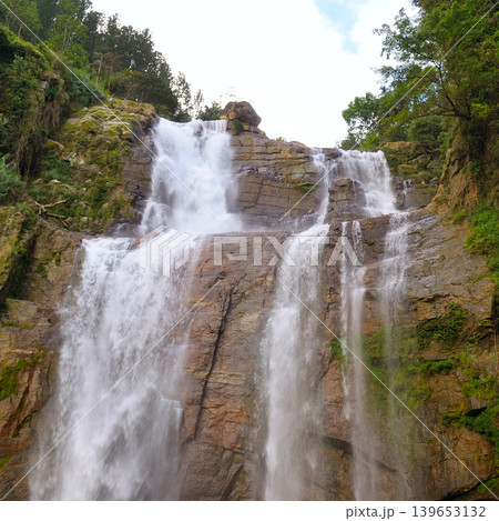 Scenic View of Ramboda Falls Surrounded by Tropical Greenery Scenic View of Ramboda Falls Surrounded by Tropical Greenery 139653132