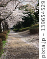 茨城県筑波南奥原工業団地の桜並木 139654529