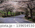 茨城県筑波南奥原工業団地の桜並木 139654530