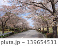 茨城県筑波南奥原工業団地の桜並木 139654531