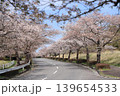 茨城県筑波南奥原工業団地の桜並木 139654533