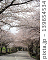 茨城県筑波南奥原工業団地の桜並木 139654534