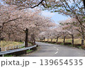 茨城県筑波南奥原工業団地の桜並木 139654535
