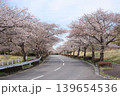 茨城県筑波南奥原工業団地の桜並木 139654536