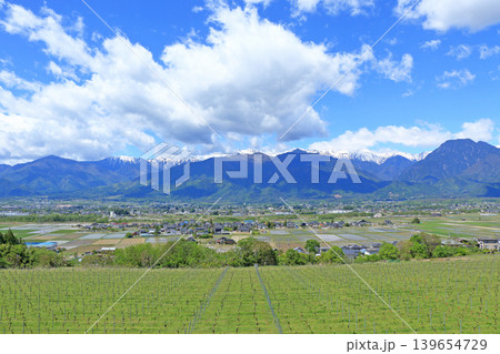 安曇野の5月 北アルプスを望むヴィンヤード 安曇野の5月 北アルプスを望むヴィンヤード 139654729