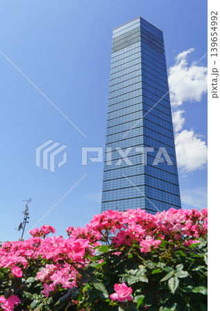 【千葉県千葉市】初夏の千葉ポートパーク・千葉ポートタワー 【千葉県千葉市】初夏の千葉ポートパーク・千葉ポートタワー 139654992