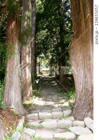 【白鷹町「深山観音」参道石段と巨杉参道】 【白鷹町「深山観音」参道石段と巨杉参道】 139655057