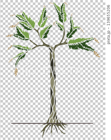 A stylized illustration of Lepidodendron acletum (Limpon) from the Carboniferous period. A stylized illustration of Lepidodendron acletum (Limpon) from the Carboniferous period. 139655206