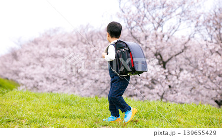 桜の咲く公園を歩く新一年生 桜の咲く公園を歩く新一年生 139655429