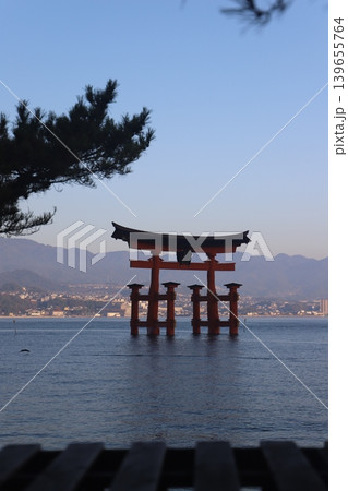 広島県宮島 厳島神社の火焼前と朝日を浴びる大鳥居 修理中の五重塔と千畳閣の風景 139655764