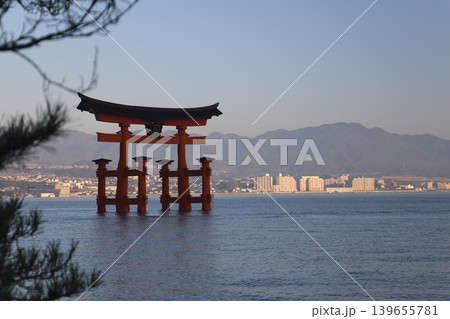 広島県宮島 厳島神社の火焼前と朝日を浴びる大鳥居 修理中の五重塔と千畳閣の風景 広島県宮島 厳島神社の火焼前と朝日を浴びる大鳥居 修理中の五重塔と千畳閣の風景 139655781