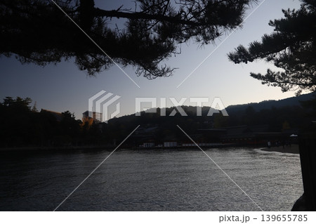 広島県宮島 厳島神社の火焼前と朝日を浴びる大鳥居 修理中の五重塔と千畳閣の風景 139655785