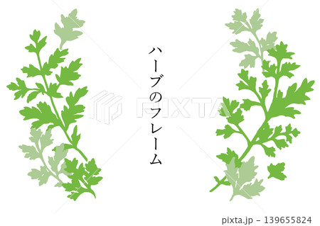 緑のハーブフレームのシンプルイラスト素材 139655824