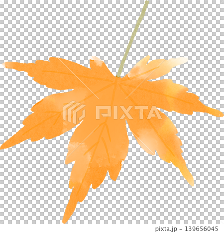水彩插畫，描繪秋色的楓葉 | 日式風格，秋葉，手繪透明素材 139656045