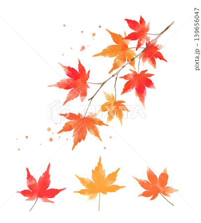 水彩もみじの枝と葉のイラストセット|秋の紅葉・和風手描き植物素材 水彩もみじの枝と葉のイラストセット|秋の紅葉・和風手描き植物素材 139656047