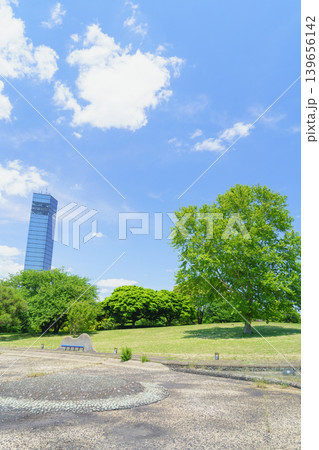 【千葉県千葉市】初夏の千葉ポートパーク・ウォータープラザから見る千葉ポートタワー 【千葉県千葉市】初夏の千葉ポートパーク・ウォータープラザから見る千葉ポートタワー 139656142
