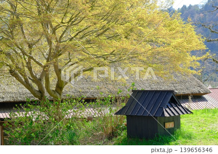美山かやぶきの里の春風景 139656346