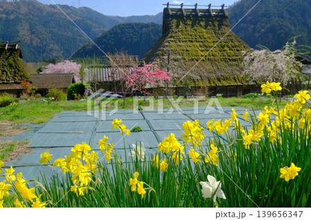美山かやぶきの里の春風景 美山かやぶきの里の春風景 139656347
