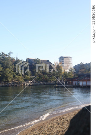 広島県廿日市市宮島町 厳島神社の千畳閣と修理工事が行われている五重塔の全景 139656566