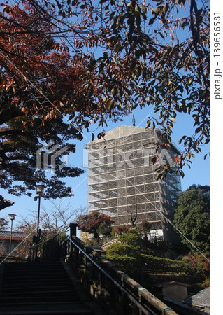広島県廿日市市宮島町 厳島神社の千畳閣と修理工事が行われている五重塔の全景 139656581