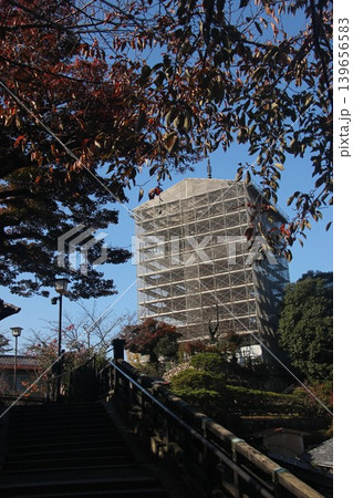 広島県廿日市市宮島町 厳島神社の千畳閣と修理工事が行われている五重塔の全景 139656583