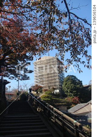広島県廿日市市宮島町 厳島神社の千畳閣と修理工事が行われている五重塔の全景 139656584