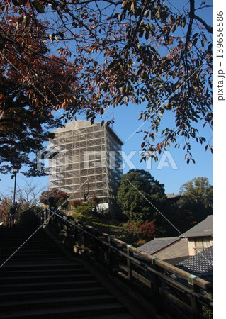 広島県廿日市市宮島町 厳島神社の千畳閣と修理工事が行われている五重塔の全景 139656586