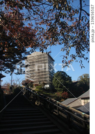 広島県廿日市市宮島町 厳島神社の千畳閣と修理工事が行われている五重塔の全景 139656587
