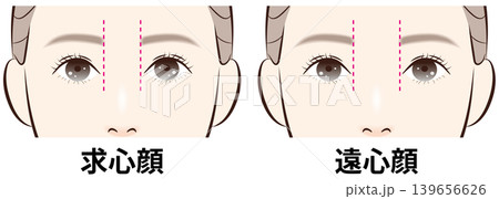 求心顔と遠心顔の比較イラストセット(ガイドラインあり) 求心顔と遠心顔の比較イラストセット(ガイドラインあり) 139656626