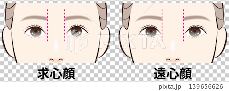 求心顔と遠心顔の比較イラストセット(ガイドラインあり) 求心顔と遠心顔の比較イラストセット(ガイドラインあり) 139656626