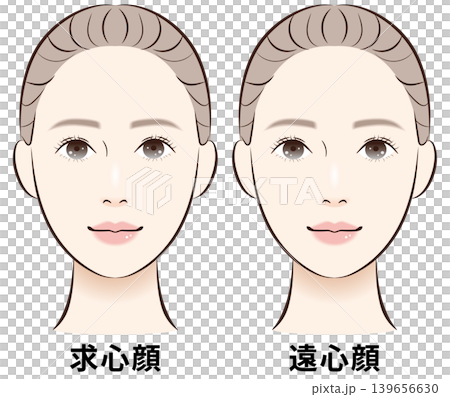 求心顔と遠心顔の比較イラストセット(文字あり) 求心顔と遠心顔の比較イラストセット(文字あり) 139656630