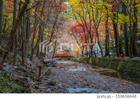森町の遠江国一宮小國神社の紅葉の風景(静岡県) 139656648