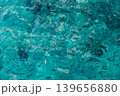 The aquatic environment features sparkling turquoise waters filled with diverse fish, inviting exploration in a peaceful setting. 139656880