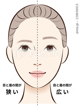 目と眉の間（狭い・広い）　比較イラスト 139656913