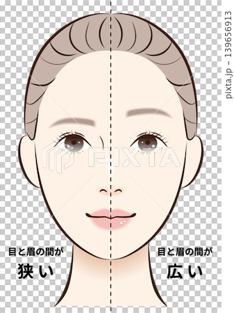 目と眉の間（狭い・広い）　比較イラスト 139656913