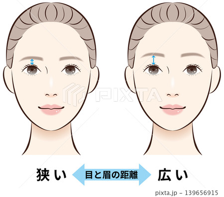 目と眉の距離（狭い・広い）　比較イラスト　解説矢印あり 139656915