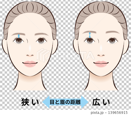 目と眉の距離（狭い・広い）　比較イラスト　解説矢印あり 139656915