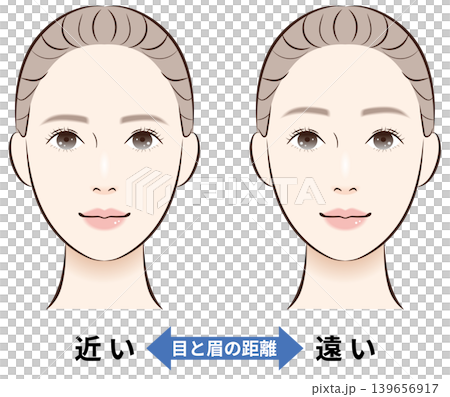 目と眉の距離(近い・遠い) 比較イラスト 目と眉の距離(近い・遠い) 比較イラスト 139656917