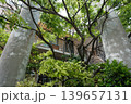 新緑の季節の神戸北野町　緑が眩しいおしゃれなビル 139657131