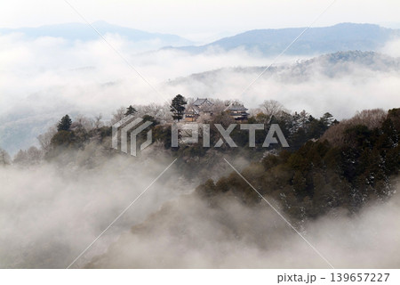 冬の雲海と備中松山城（天空の山城）25713 139657227