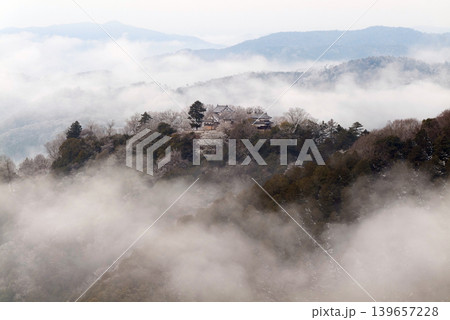 冬の雲海と備中松山城（天空の山城）25728 139657228