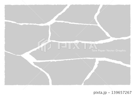 破れた紙のベクター・グラフィック素材(Grey) 破れた紙のベクター・グラフィック素材(Grey) 139657267