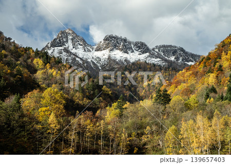 初雪と紅葉 139657403