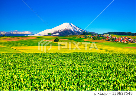ヨーロッパの美しい田園風景と富士山合成 139657549