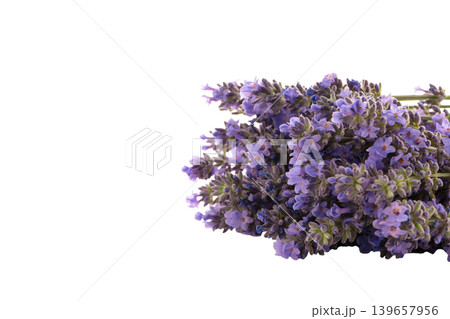 Lavender flowers displayed, showing petal details, isolated, PNG Lavender flowers displayed, showing petal details, isolated, PNG 139657956