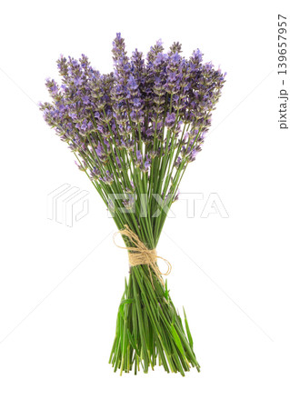 A bunch of fresh lavender flowers tied with twine, isolated, PNG 139657957