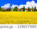 ボヘミア地方の美しい菜の花畑と雲合成 139657989
