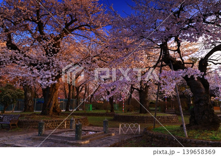 満開の桜のある風景 満開の桜のある風景 139658369