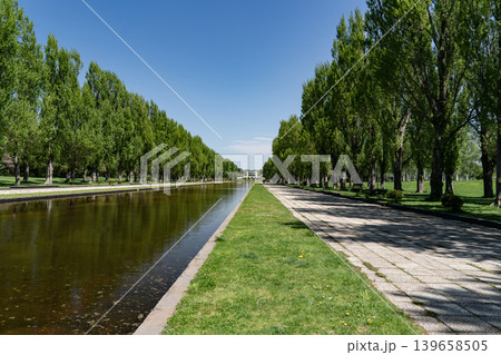 前田森林公園の春 前田森林公園の春 139658505