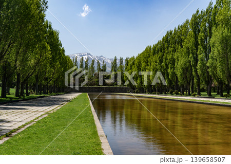 前田森林公園の春 前田森林公園の春 139658507